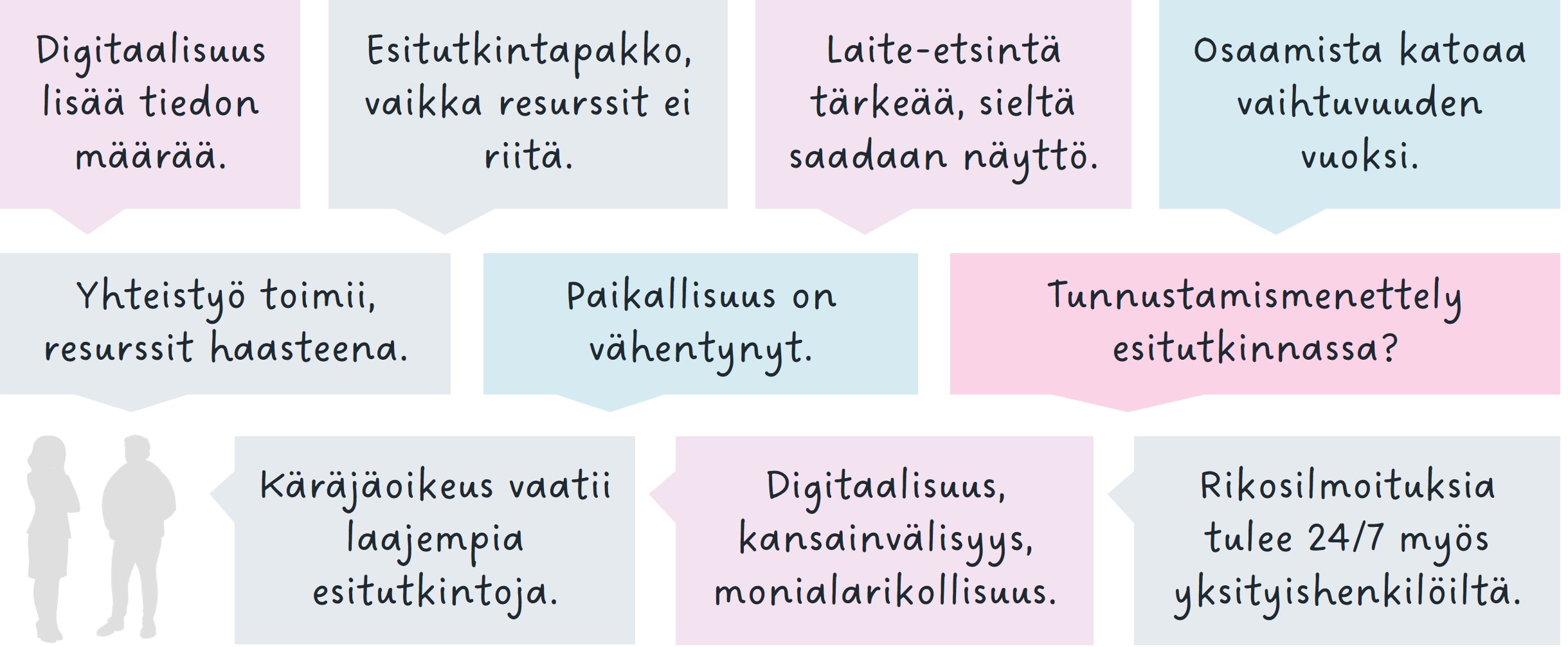 Lainauksia tarkastusten laajuudesta ja resursseista