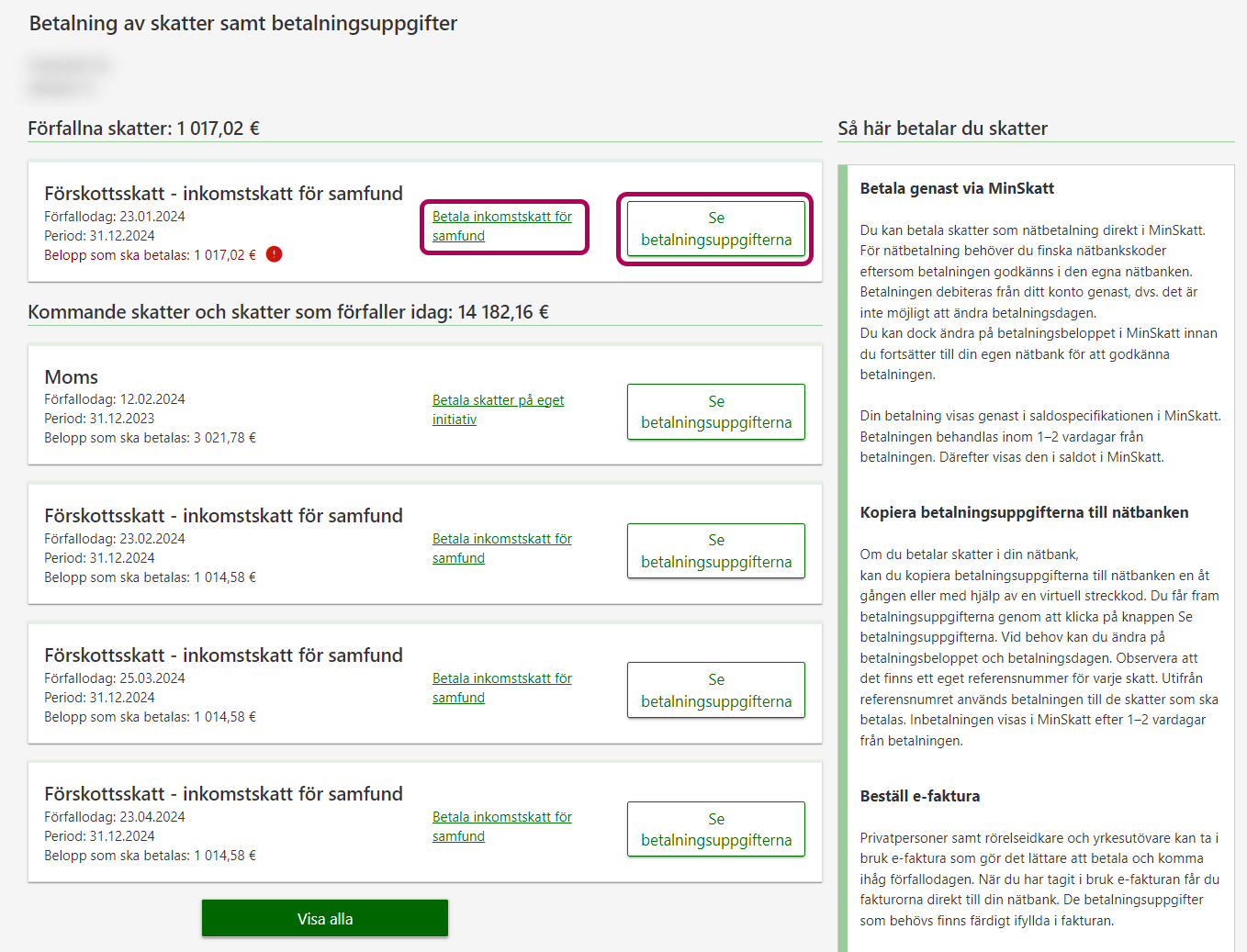 2.	På sidan Betalning av skatter samt betalningsuppgifter kan du bland annat kontrollera betalningsuppgifterna, betala skatter och beställa e-faktura.